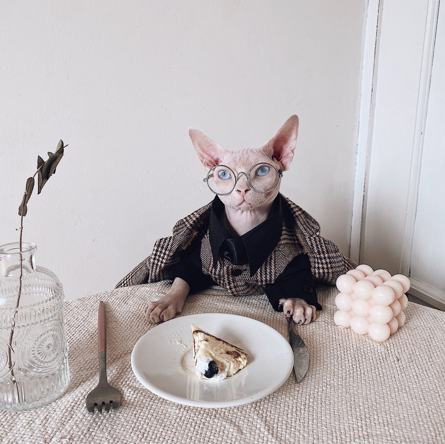 Tweed Three-Piece Suit for SphynxCat