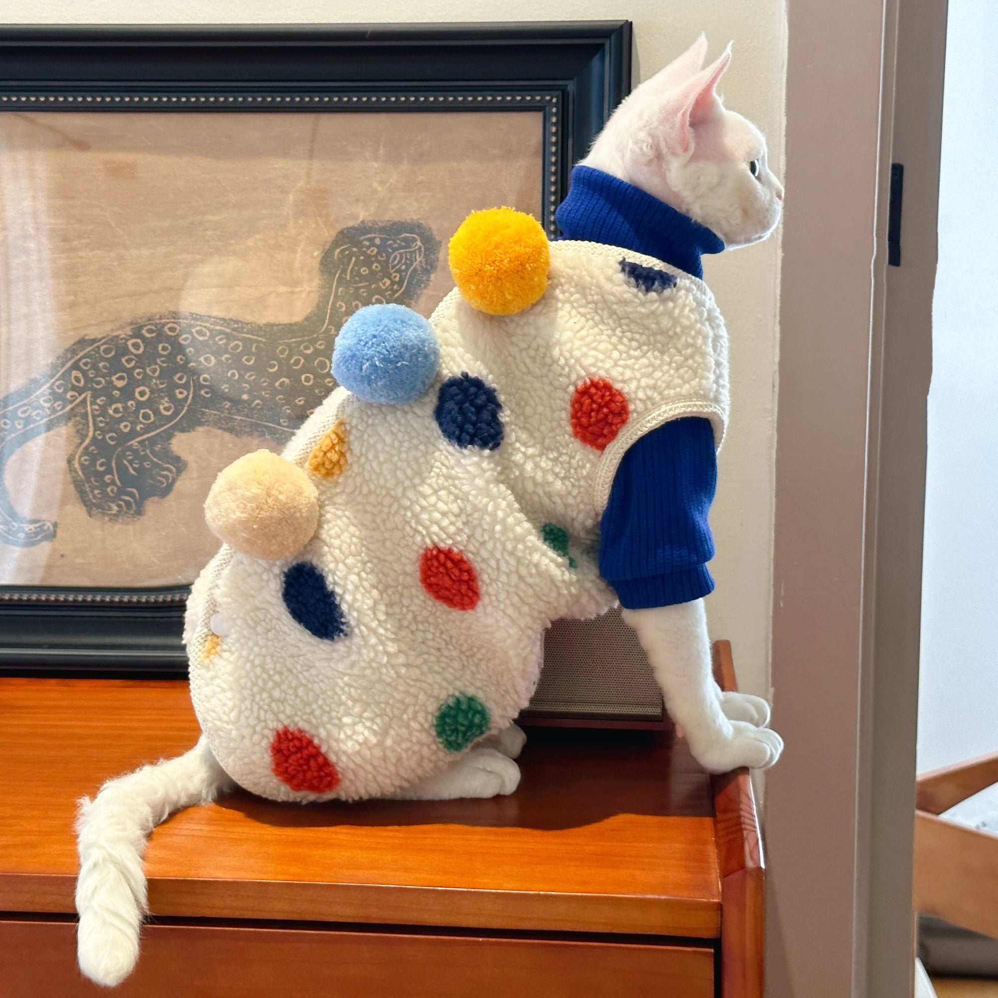 Sphynx Cat Fleece Coat – Tri Pom-Pom Winter Jacket (Devon Rex)
