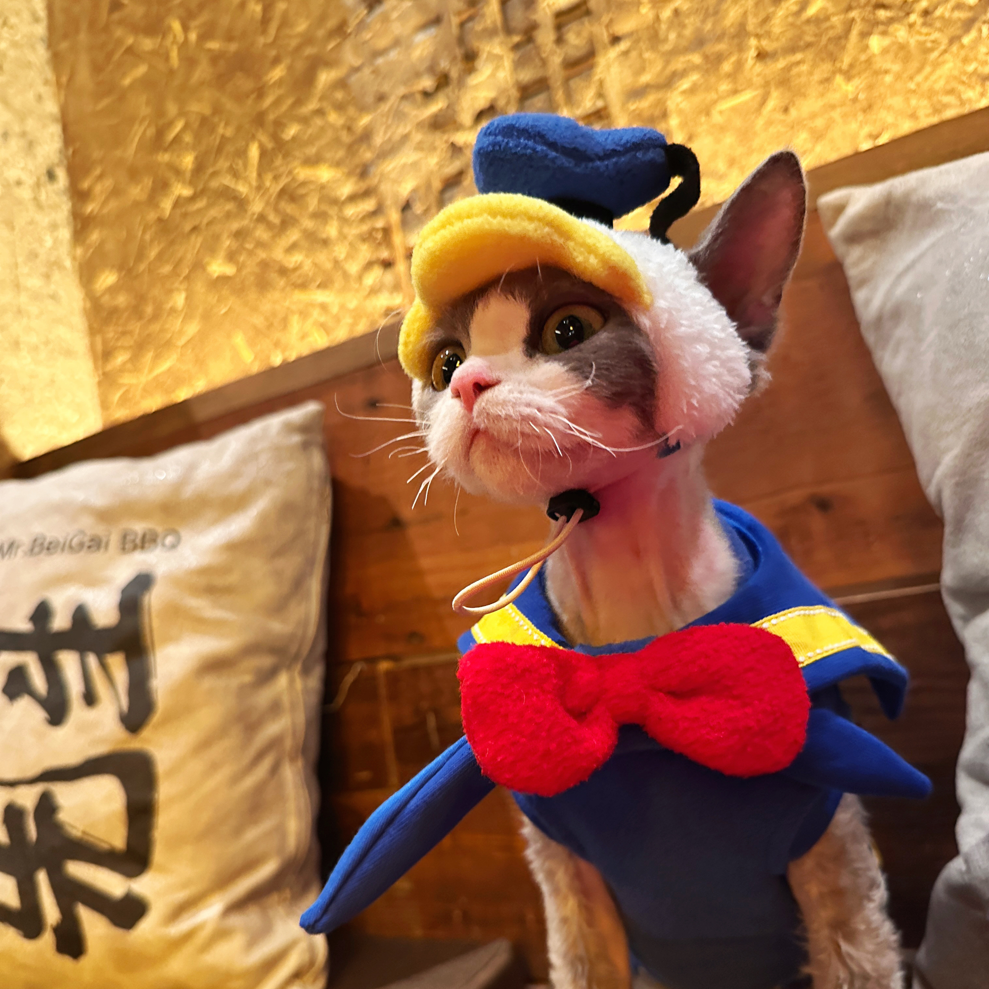 Donald Duck Costume for Sphynx Cat Cosplay Outfit
