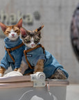 Stretch Denim Sweatshirt for Sphynx Cat Comfortable Outfit