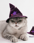 Cat wearing purple wizard hat and cape, Halloween costume