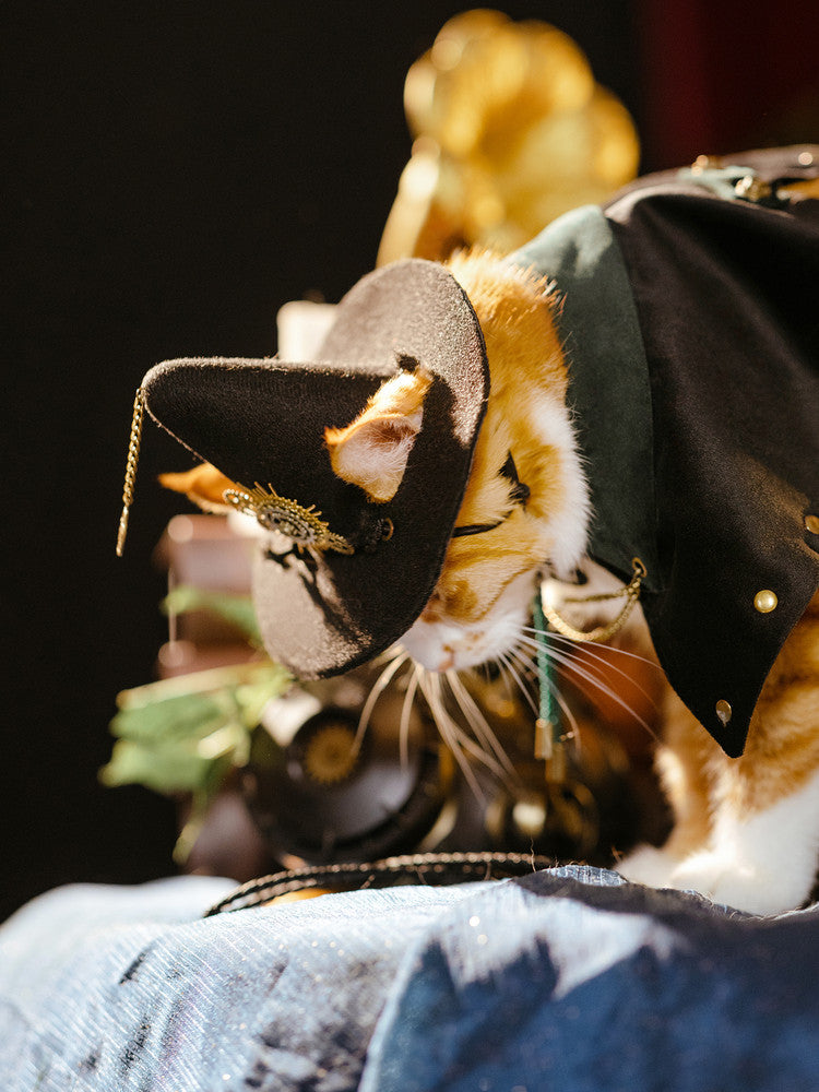 Close-up of cat wearing steampunk witch hat details