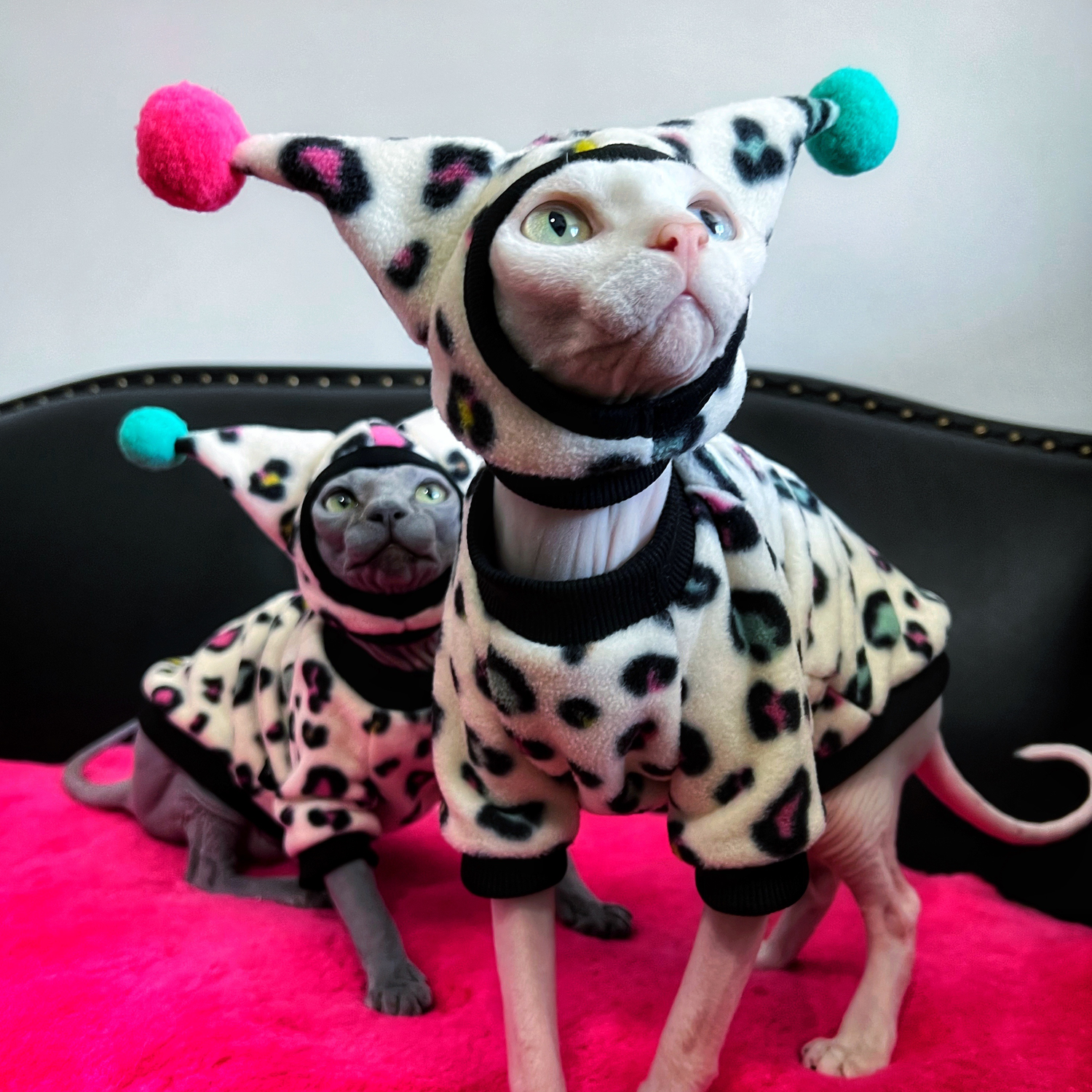 Leopard Costumes for Sphynx