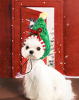Christmas Holiday Hat and Scarf for Cat and Dog