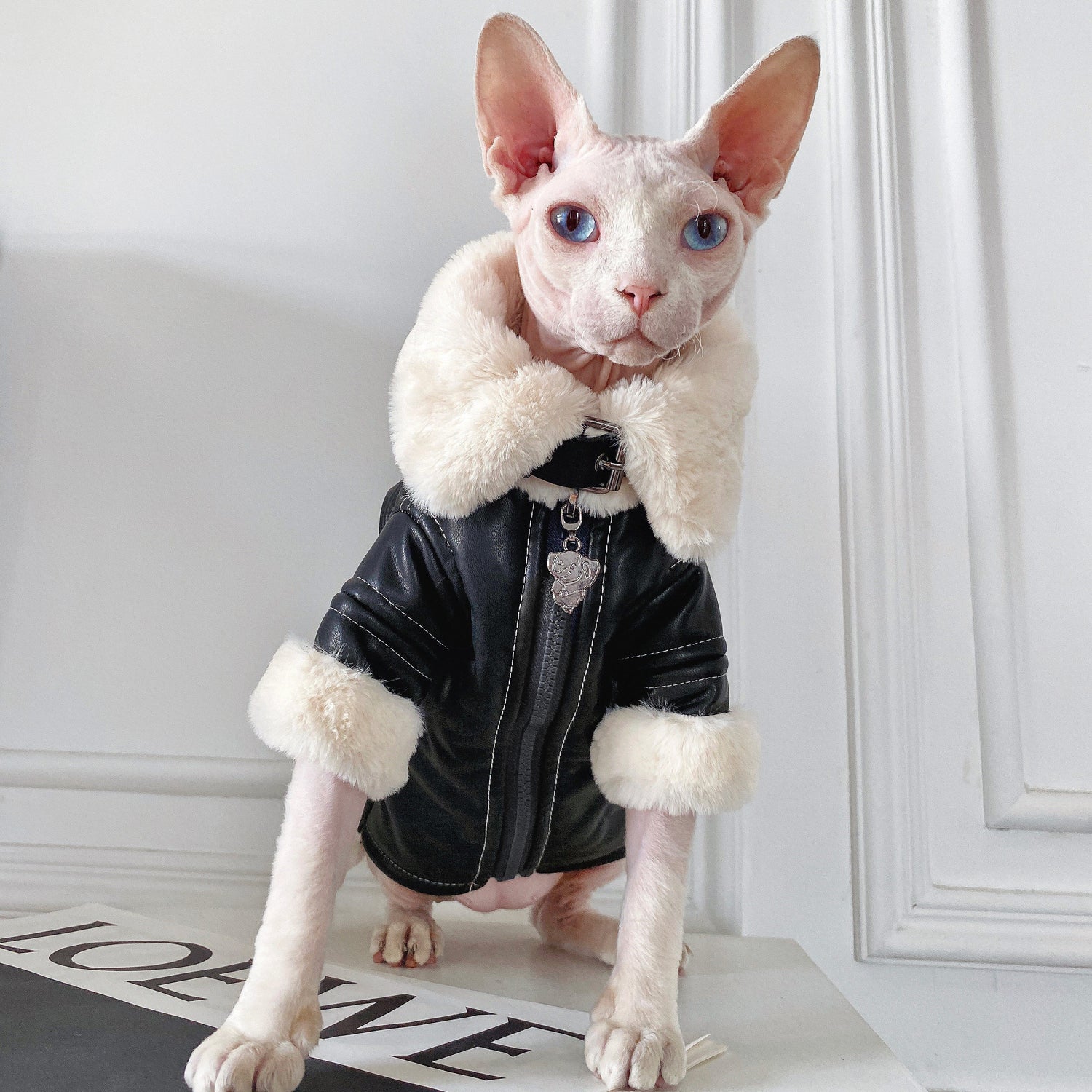 Biker Jacket with Faux Fur Lining for SphynxCat