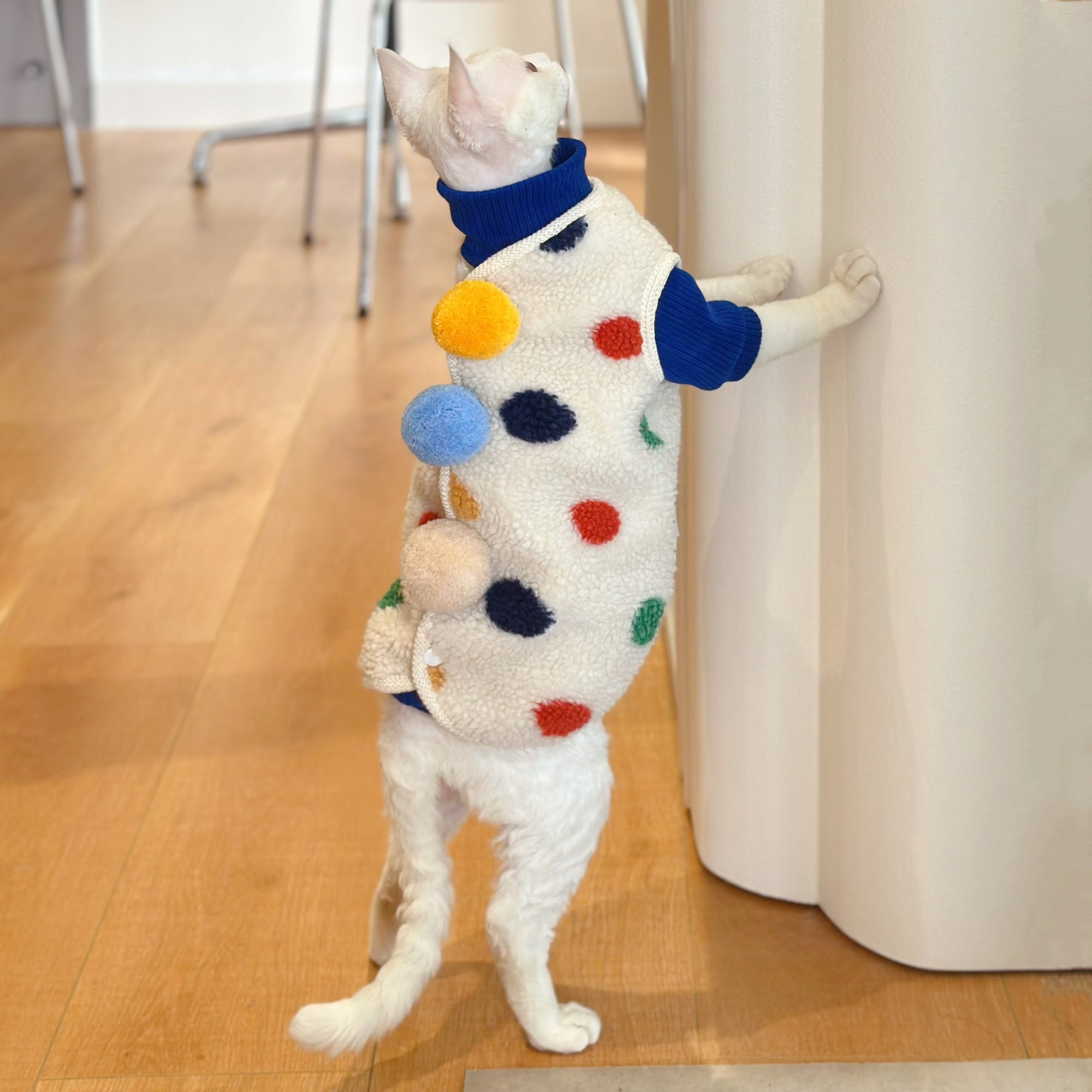 Sphynx Cat Fleece Coat – Tri Pom-Pom Winter Jacket (Devon Rex)