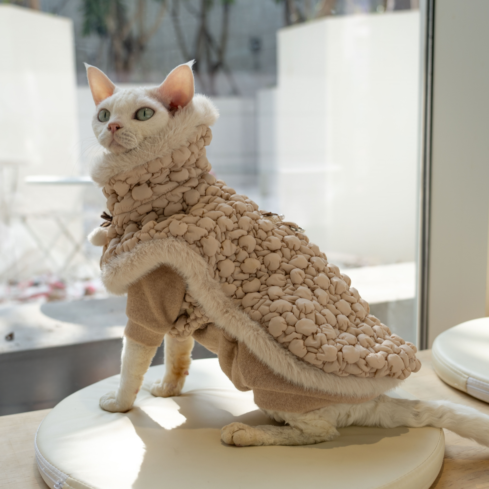 Snug-Cloak for Sphynx Cat Soft Warm Cat Clothing