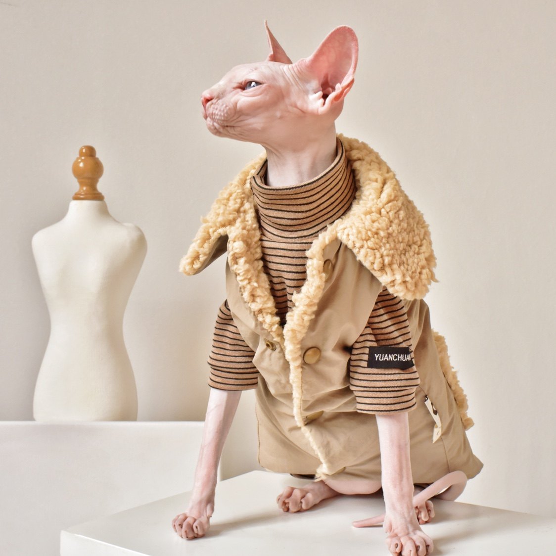 Weatherproof Faux Jacket Sphynx Cat Clothes