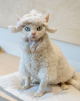 Fleece Hat for SphynxCat DevonRex White