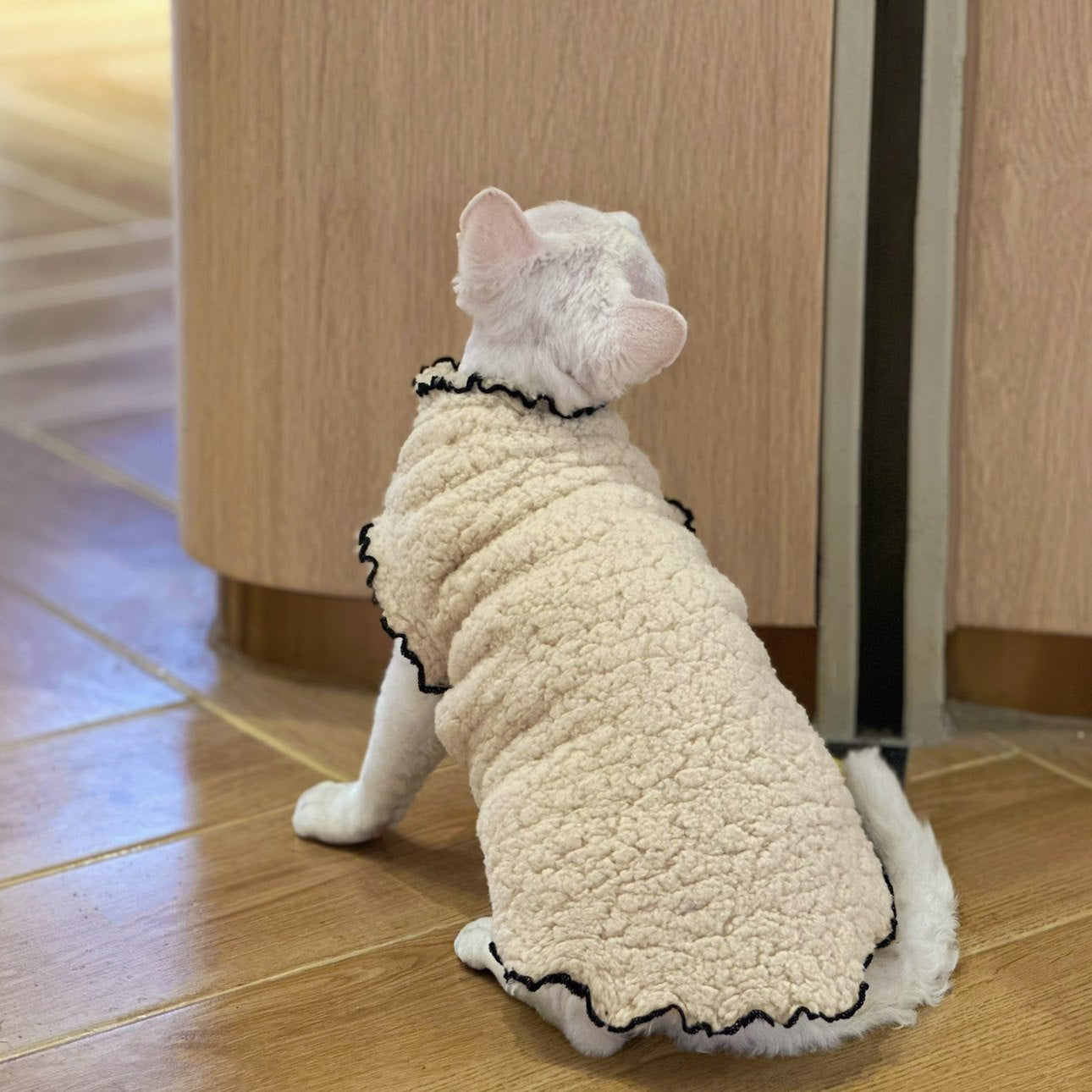 Double-Sided Fleece Shirts DevonRex Sphynx Cat Clothes