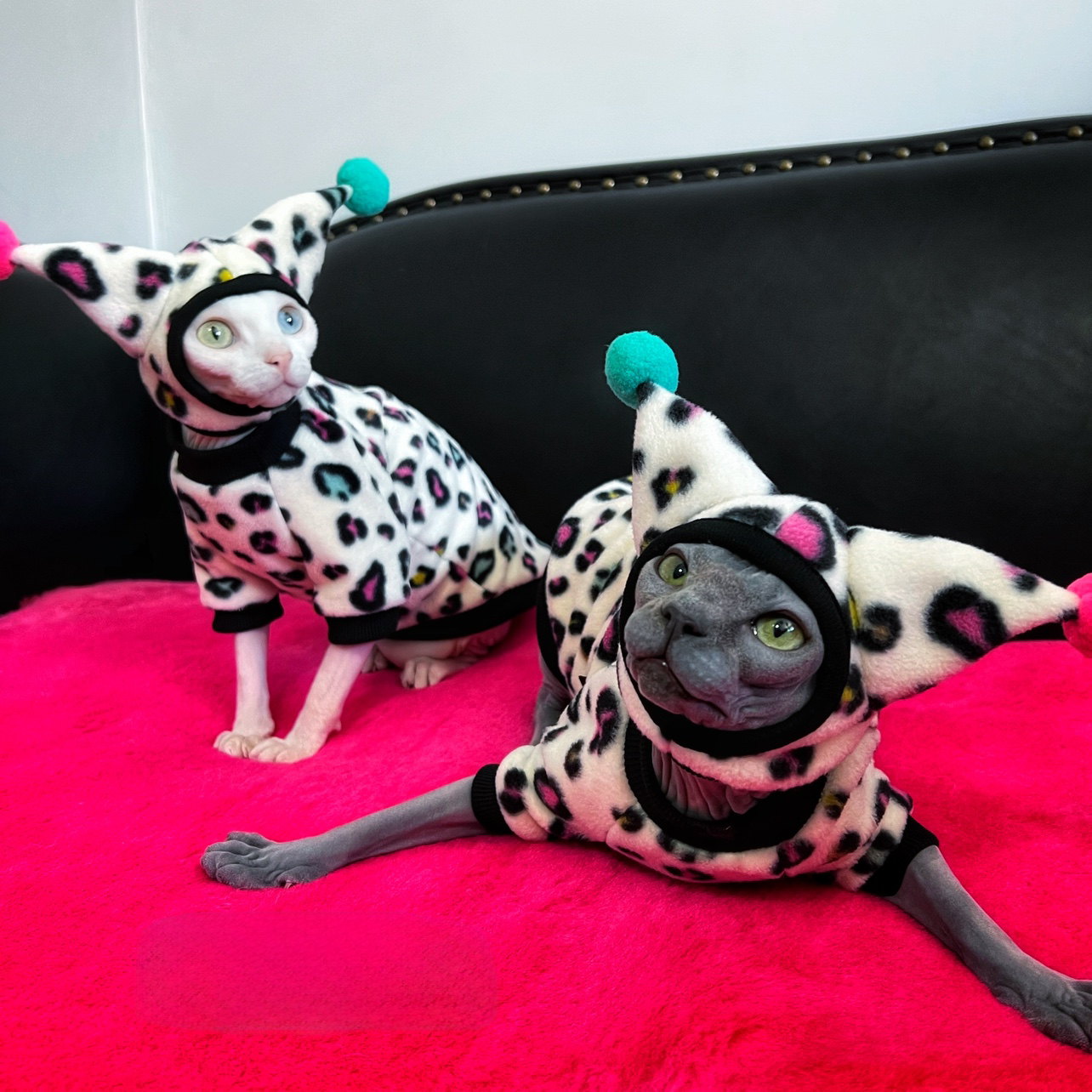 Leopard Costume for Sphynx Cat Soft Cosplay Outfit