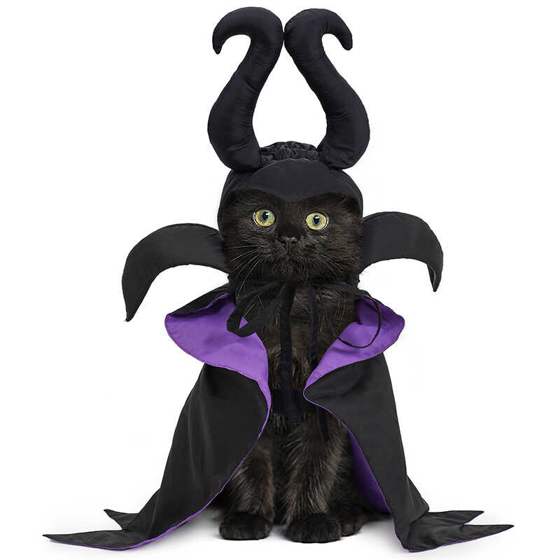 Maleficent Cosplay Costume Magic Cloak and Hat for Hallowe