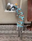 Shark Hat and Salmon Camisole for Sphynx Cat Cute Outfit