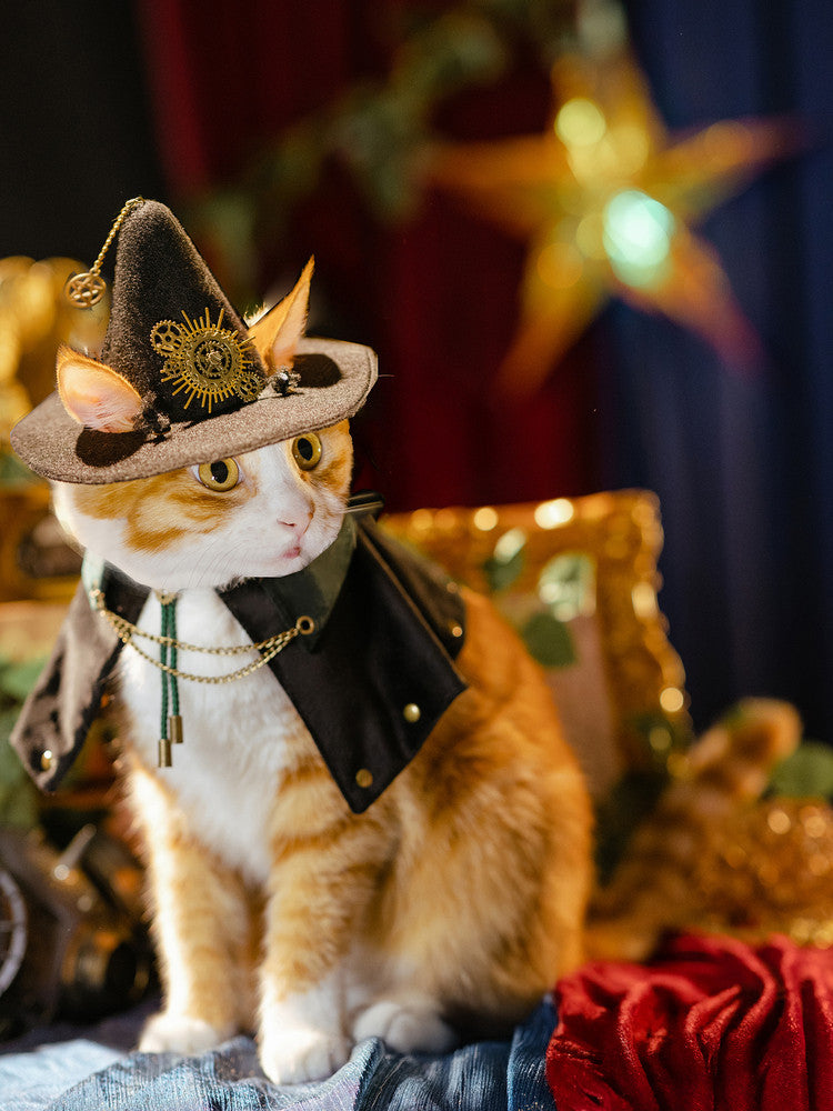 Cat wearing steampunk witch hat with brass gear pendant Halloween outfit
