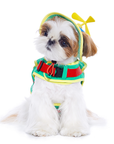Take-Copter Pet Sun Hat Cute Protective Headwear