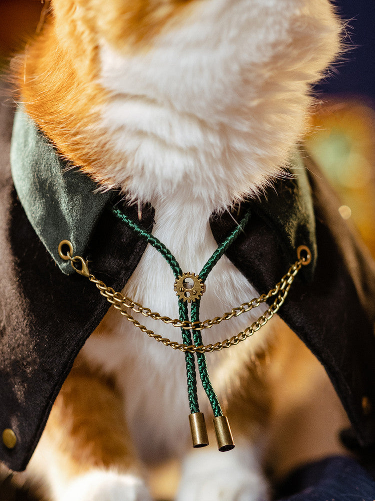 Cat wearing steampunk velvet cape, side profile
