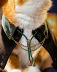 Cat wearing steampunk velvet cape, side profile