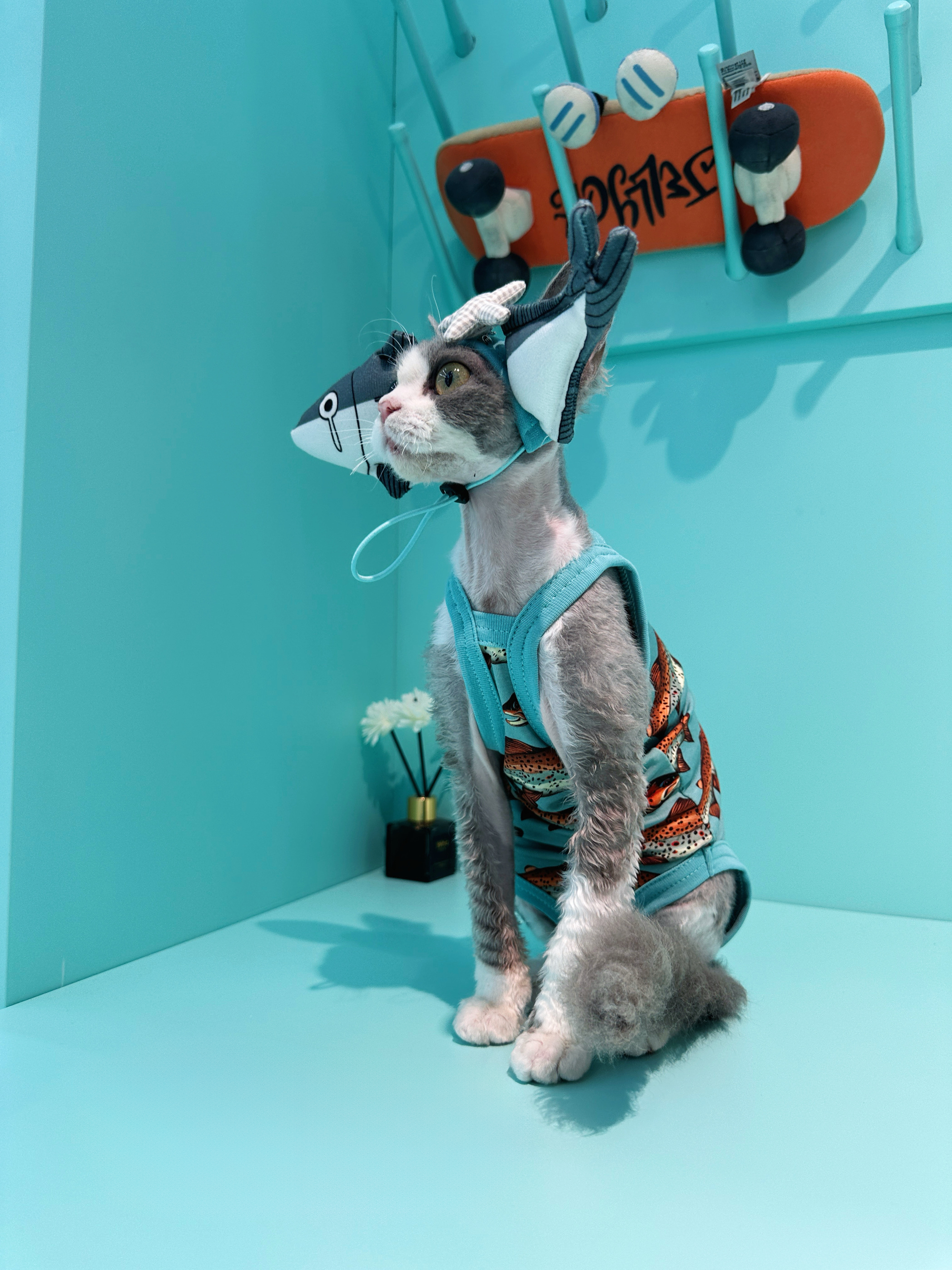 Shark Hat and Salmon Camisole for Sphynx Cat Cute Outfit