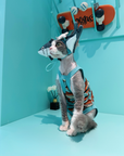 Shark Hat and Salmon Camisole for Sphynx Cat Cute Outfit