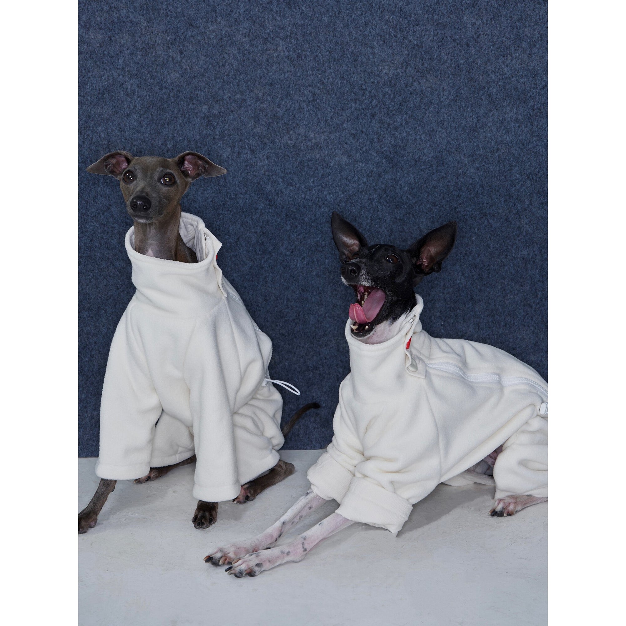 Whippet &amp; Greyhound Fleece Jumpsuit – Anti-Static Reversible Winter Onesie