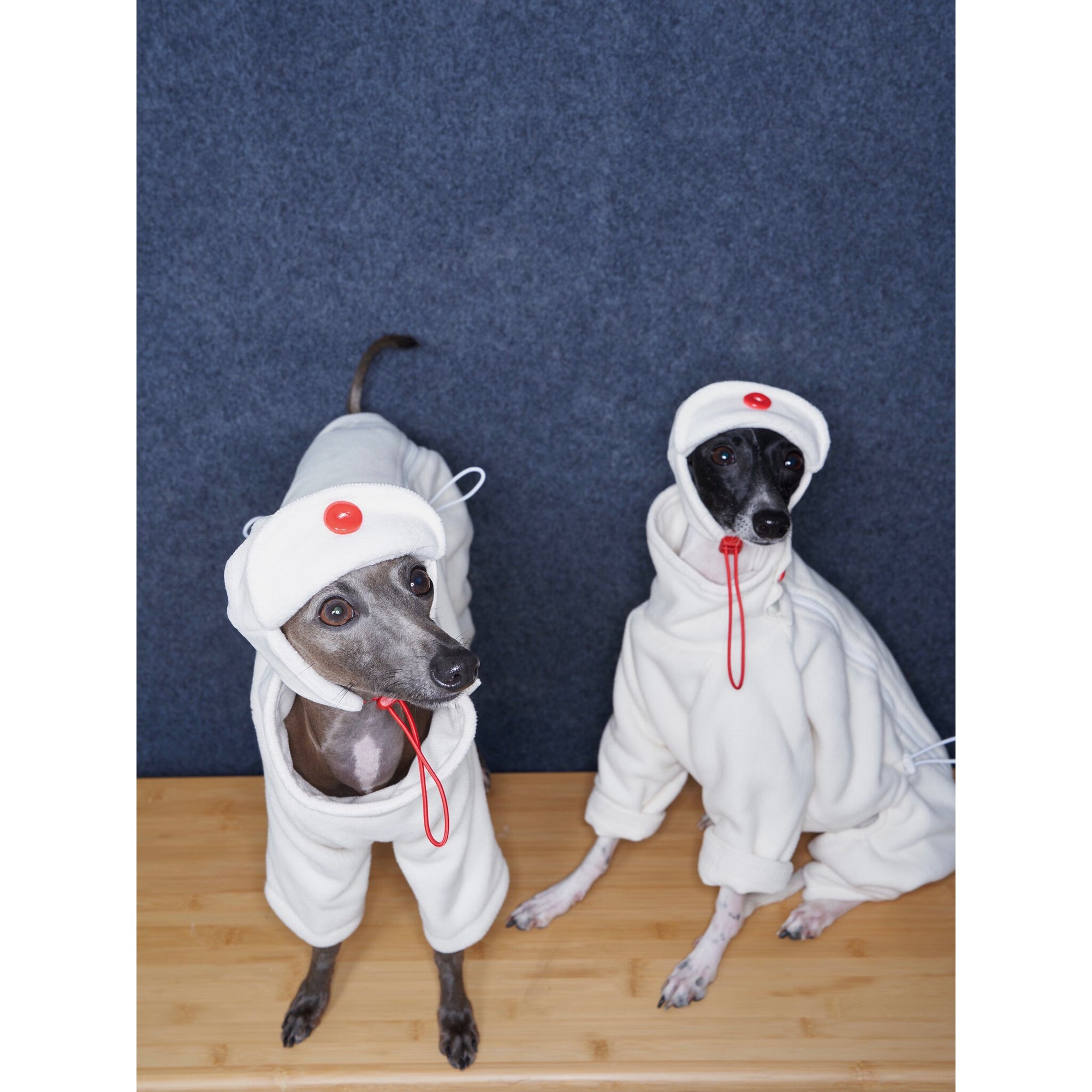 Whippet &amp; Greyhound Fleece Jumpsuit – Anti-Static Reversible Winter Onesie