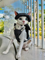Grey British Bow Dress & Crystal Hat Set for Devon Rex & Sphynx Cats