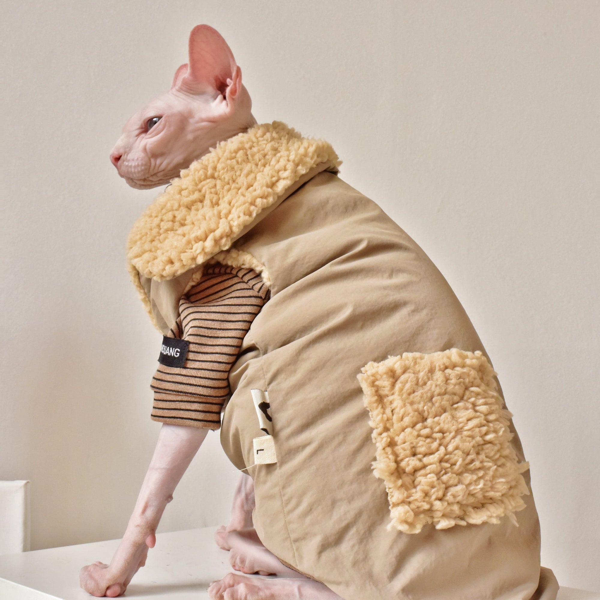 Sphynx Cat Weatherproof Jacket – Faux Leather Warm Coat