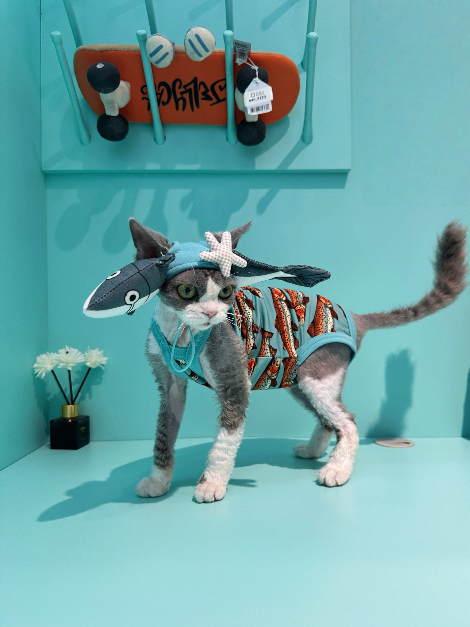 Shark Hat and Salmon Camisole for Sphynx Cat Cute Outfit