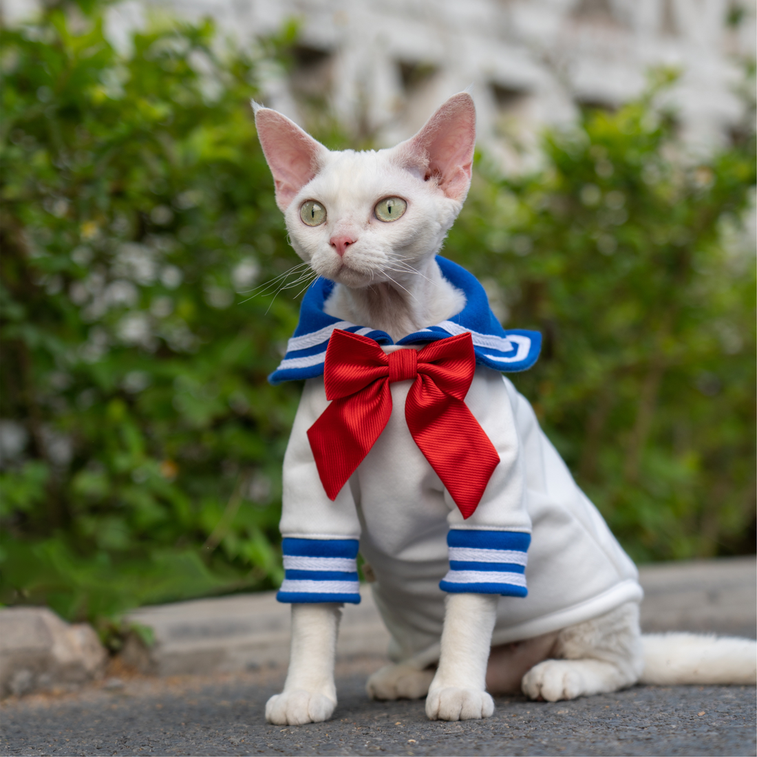 Sailor Kitty Cotton Hoodie Costumes for Cats