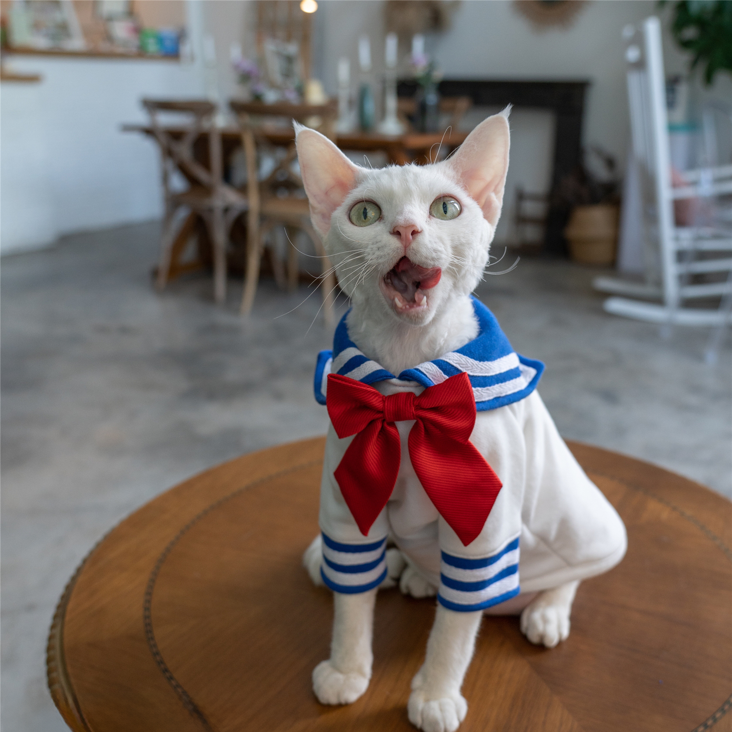 Sailor Kitty Cotton Hoodie Costumes for Cats