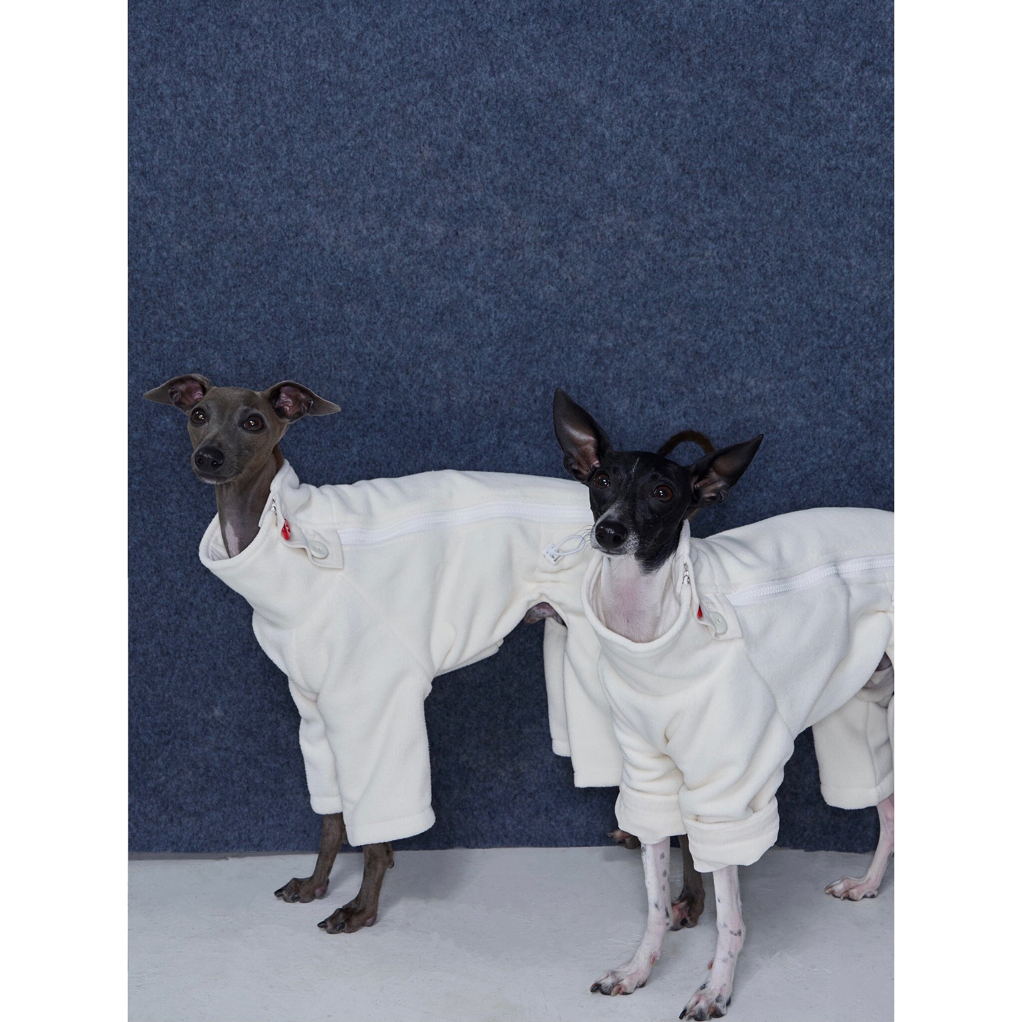 Whippet &amp; Greyhound Fleece Jumpsuit – Anti-Static Reversible Winter Onesie
