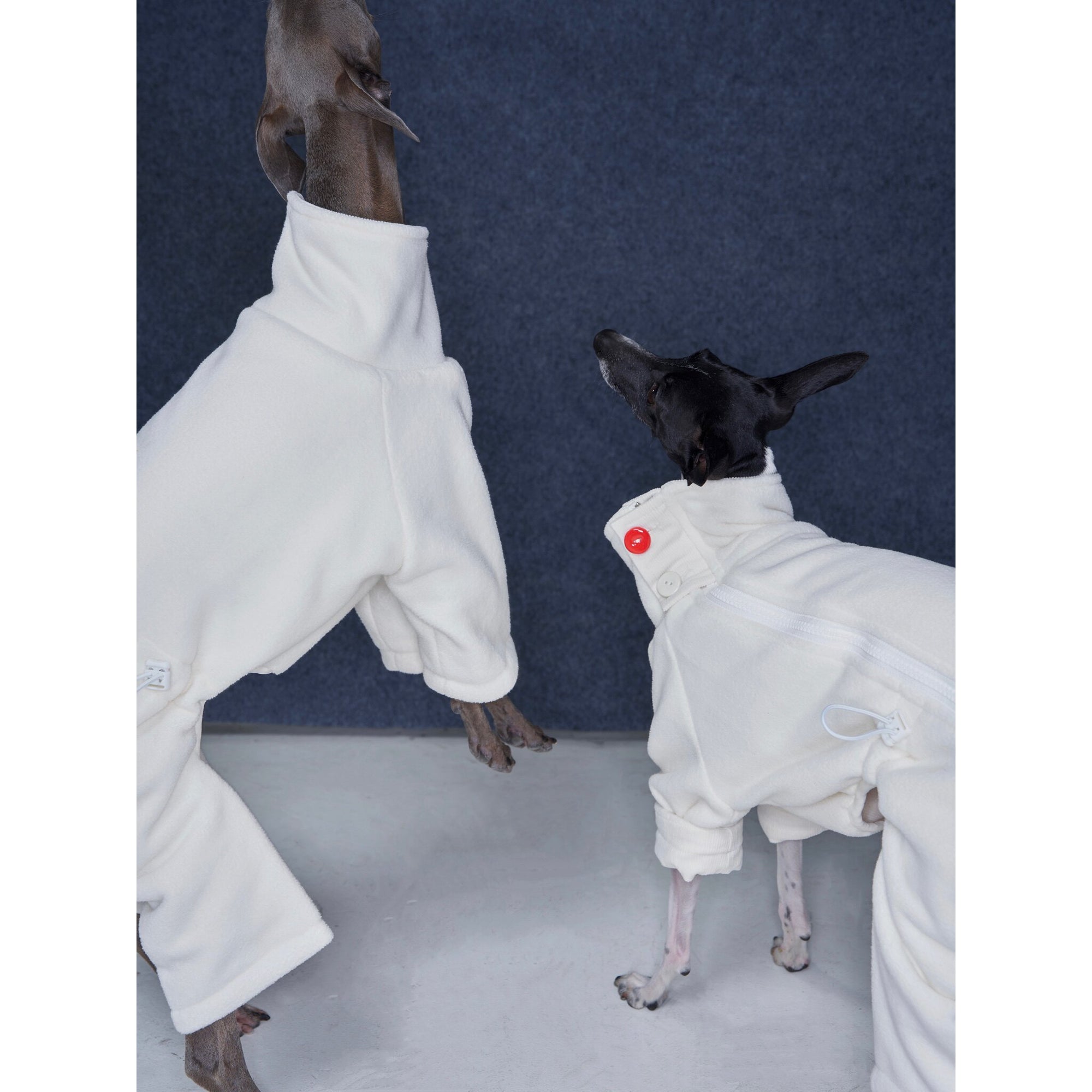 Whippet &amp; Greyhound Fleece Jumpsuit – Anti-Static Reversible Winter Onesie