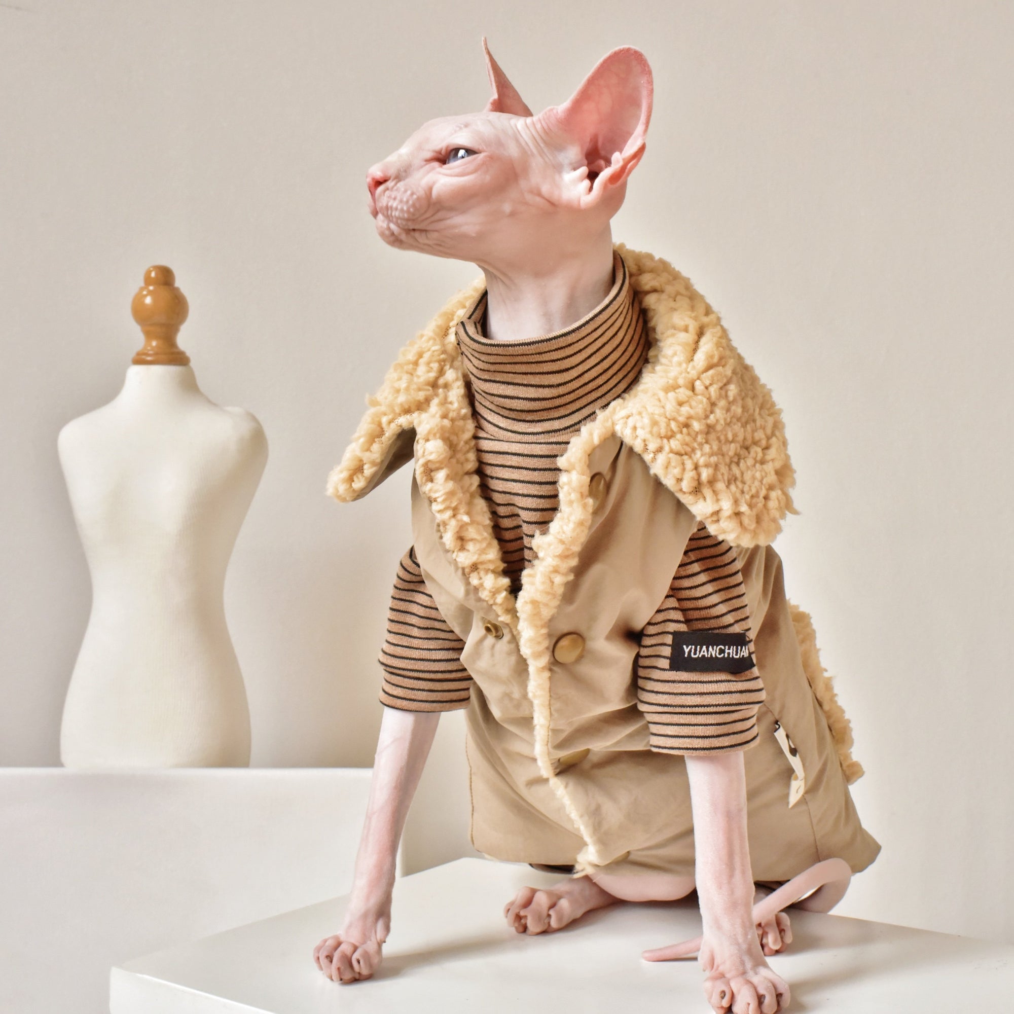 Sphynx Cat Weatherproof Jacket – Faux Leather Warm Coat