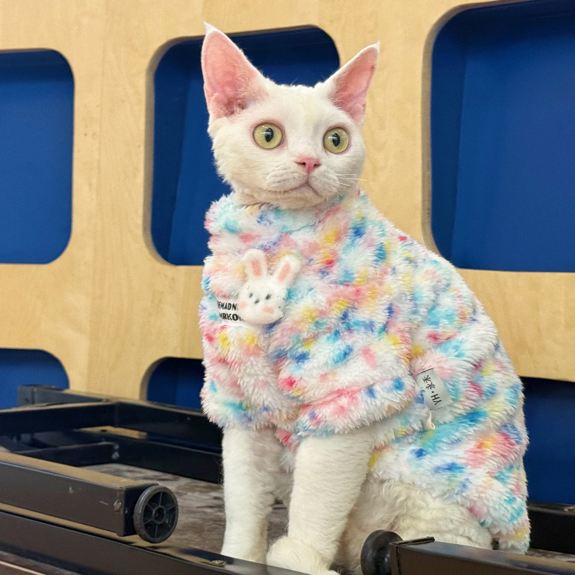Sphynx Cat Fleece Onesie – Rainbow Bunny Bodysuit