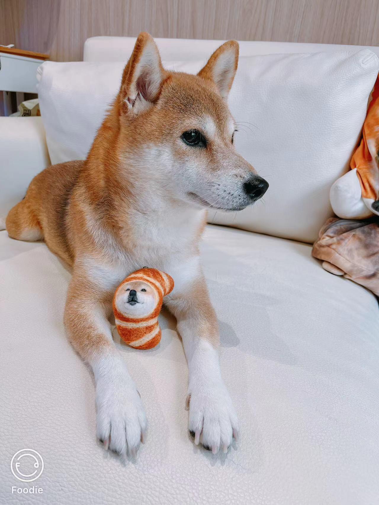 Wool Felted Pet Head Customization - Bread Toy