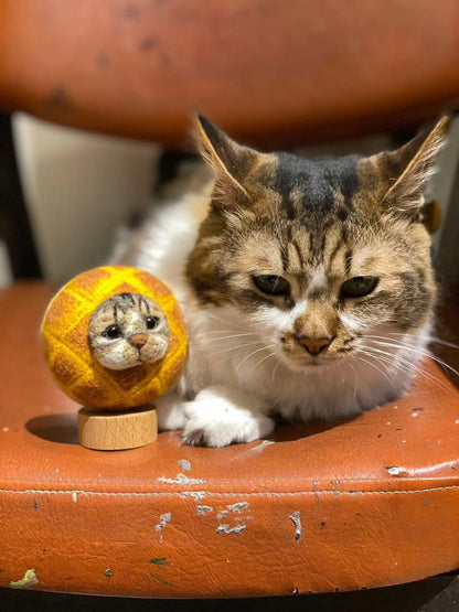 Wool Felted Pet Head Customization - Bread Toy