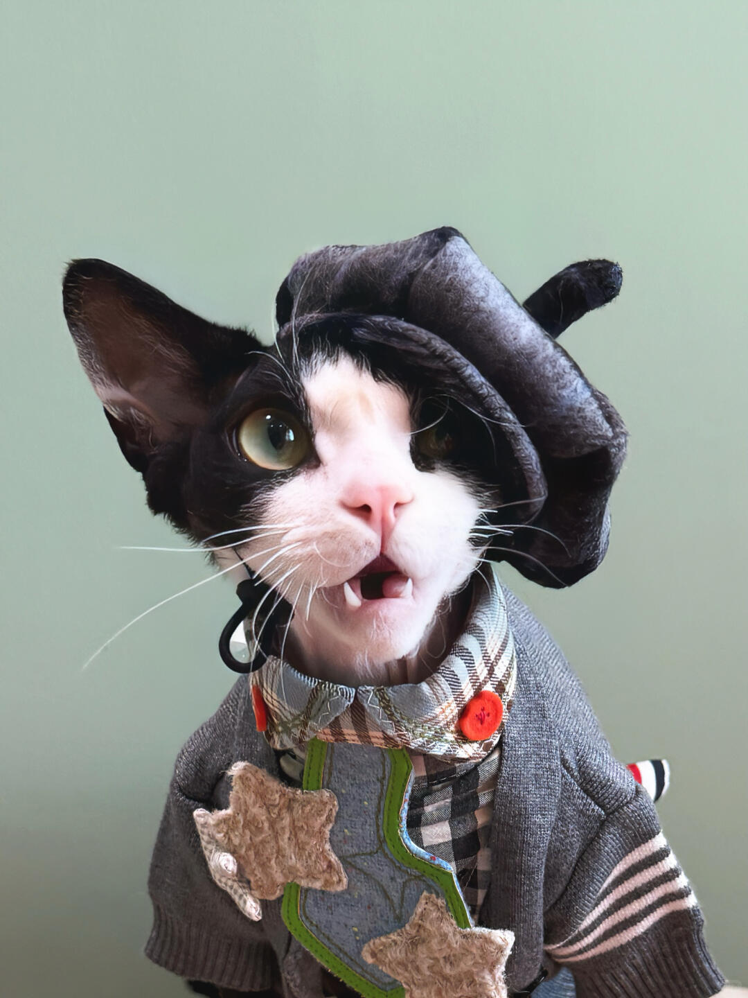 Plaid Wool Beret Hat for Cat