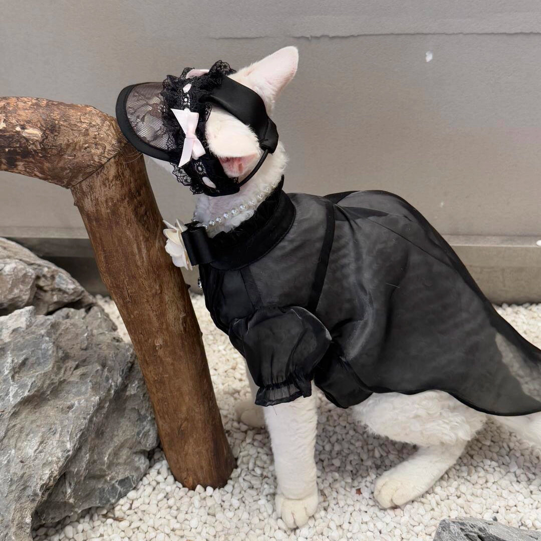 Devon Rex &amp; Sphynx Lace Princess Hat