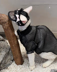 Devon Rex & Sphynx Lace Princess Hat