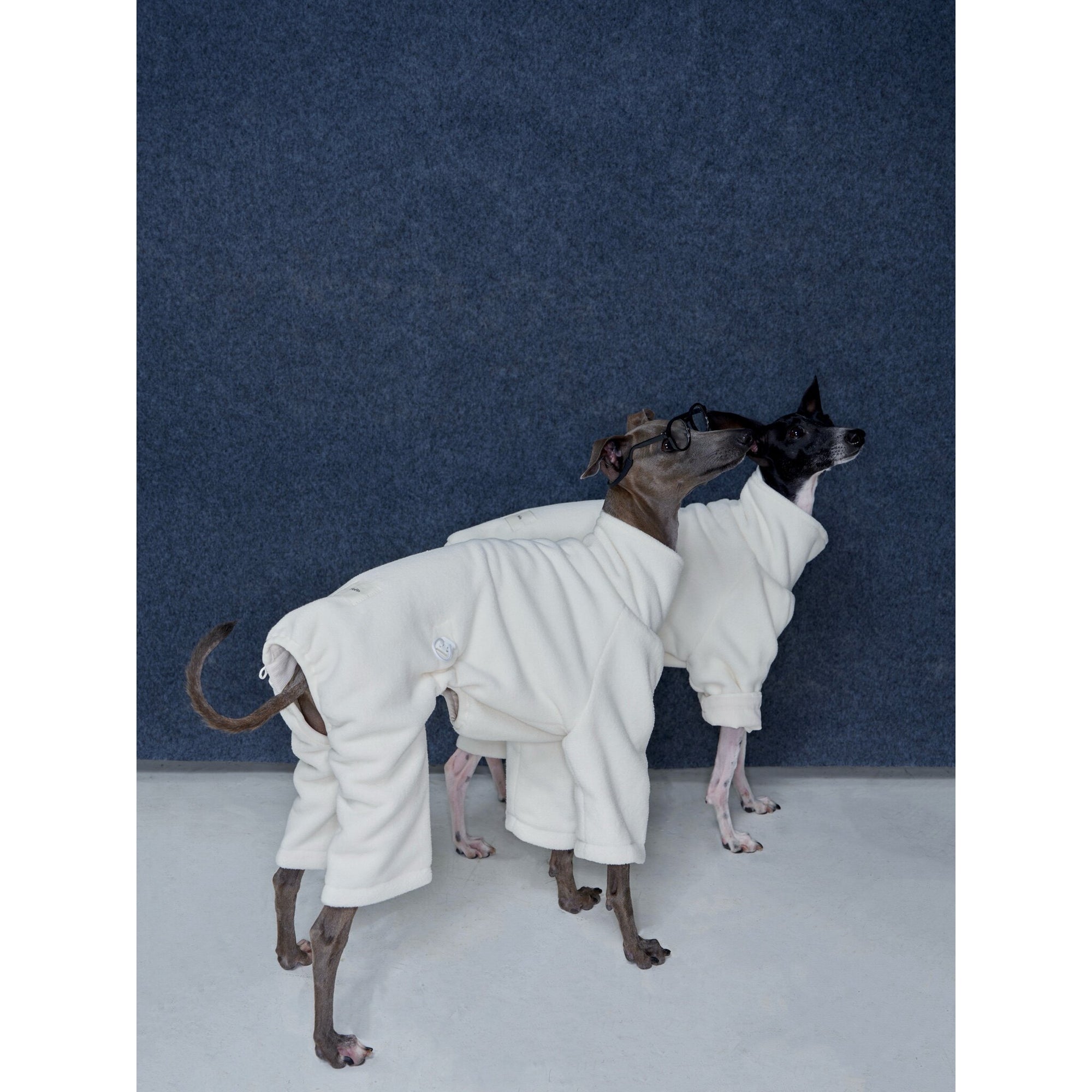 Whippet &amp; Greyhound Fleece Jumpsuit – Anti-Static Reversible Winter Onesie