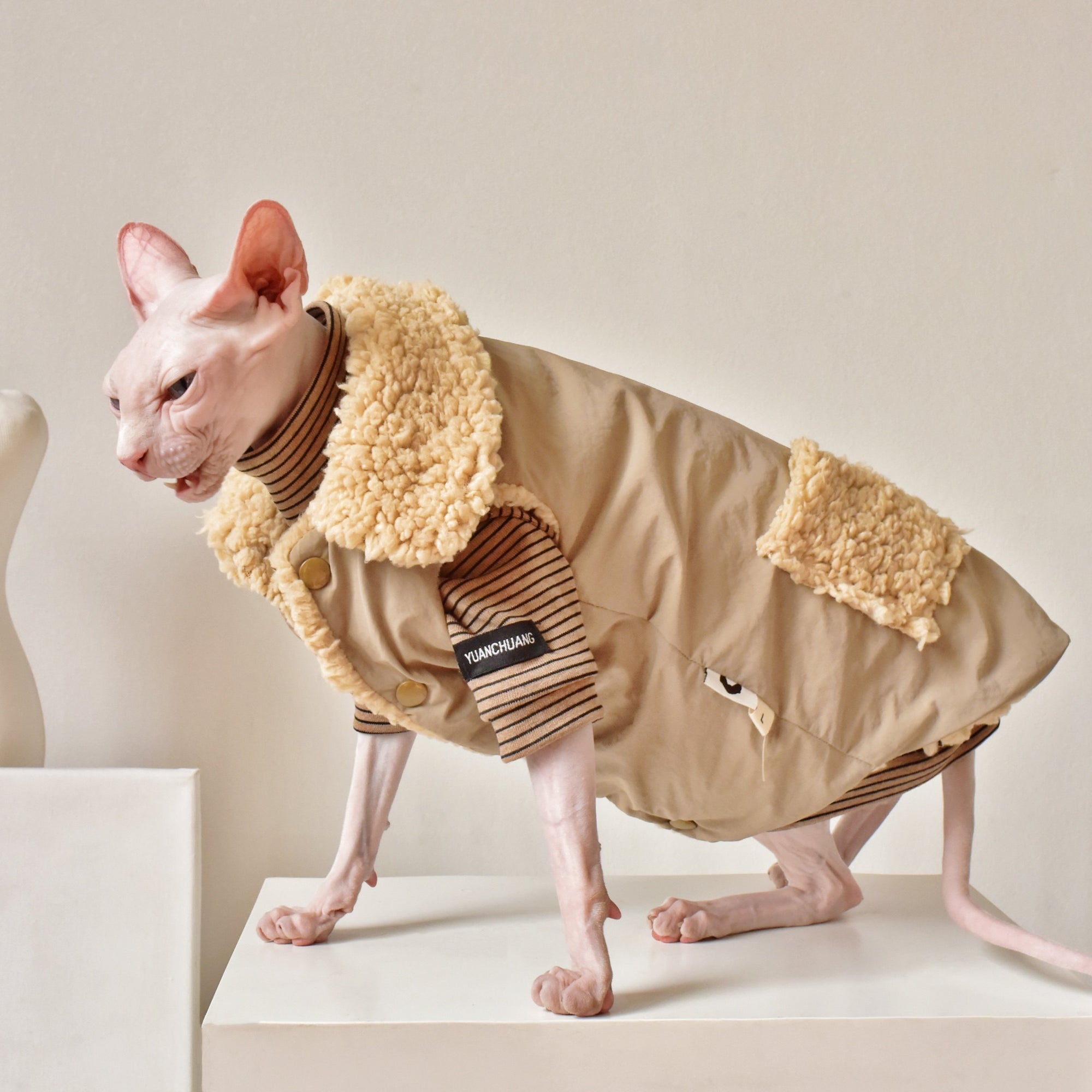 Sphynx Cat Weatherproof Jacket – Faux Leather Warm Coat