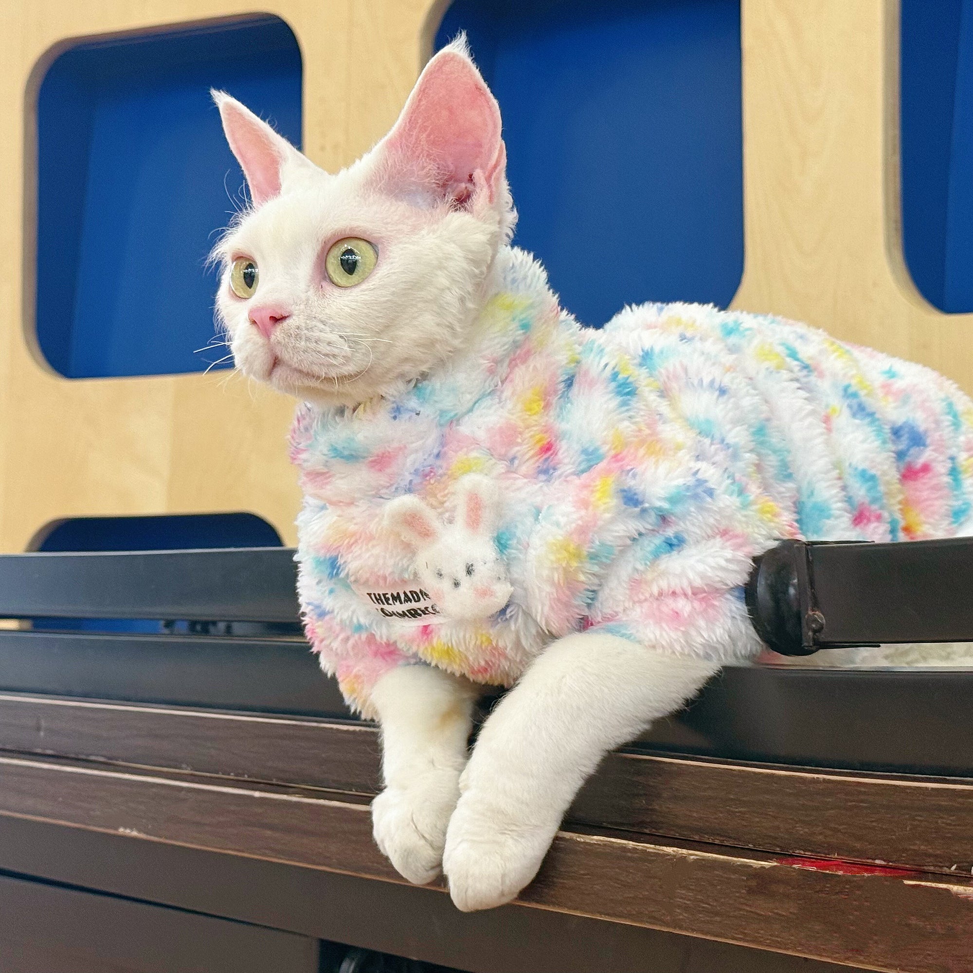 Sphynx Cat Fleece Onesie – Rainbow Bunny Bodysuit
