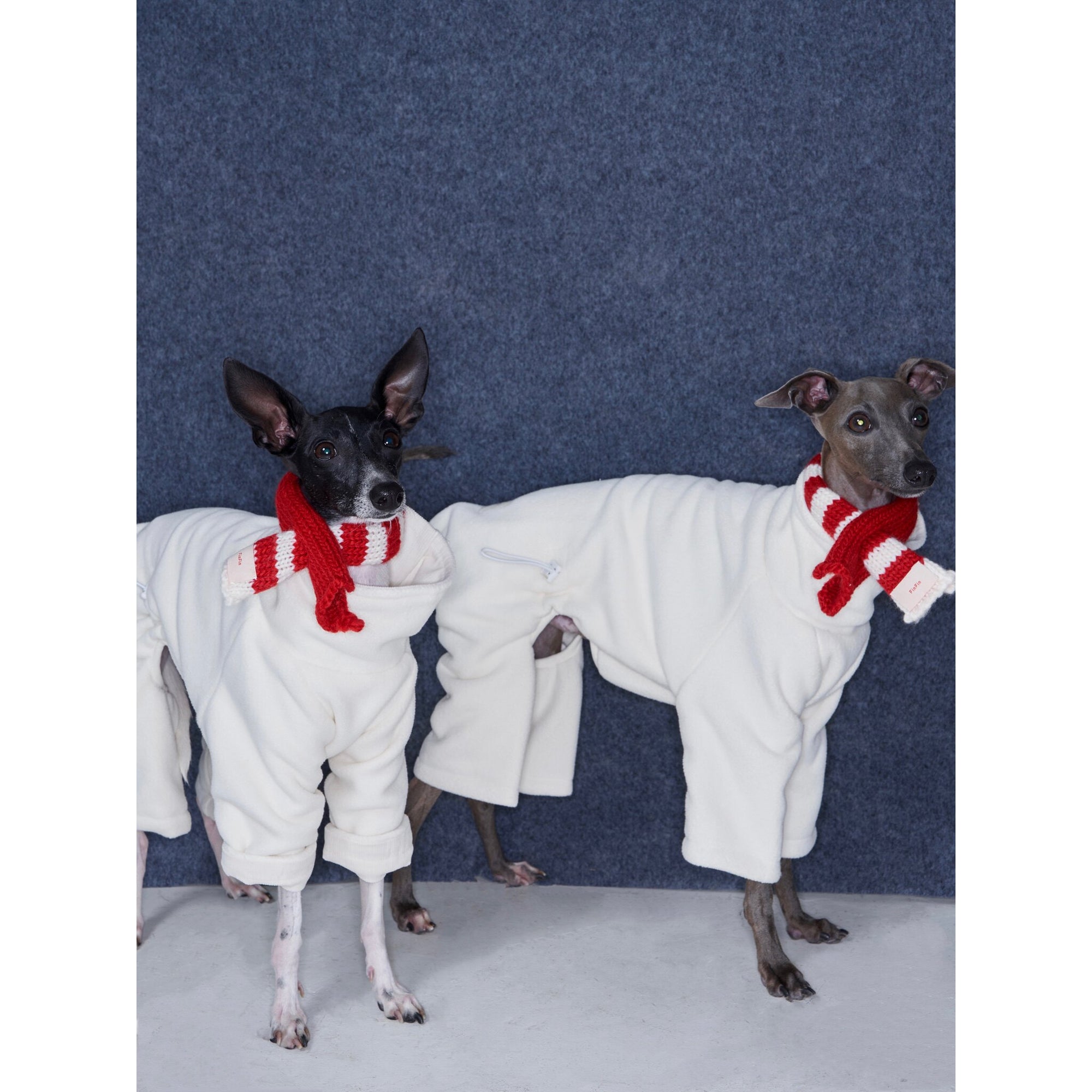 Whippet &amp; Greyhound Fleece Jumpsuit – Anti-Static Reversible Winter Onesie