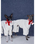 Whippet & Greyhound Fleece Jumpsuit – Anti-Static Reversible Winter Onesie