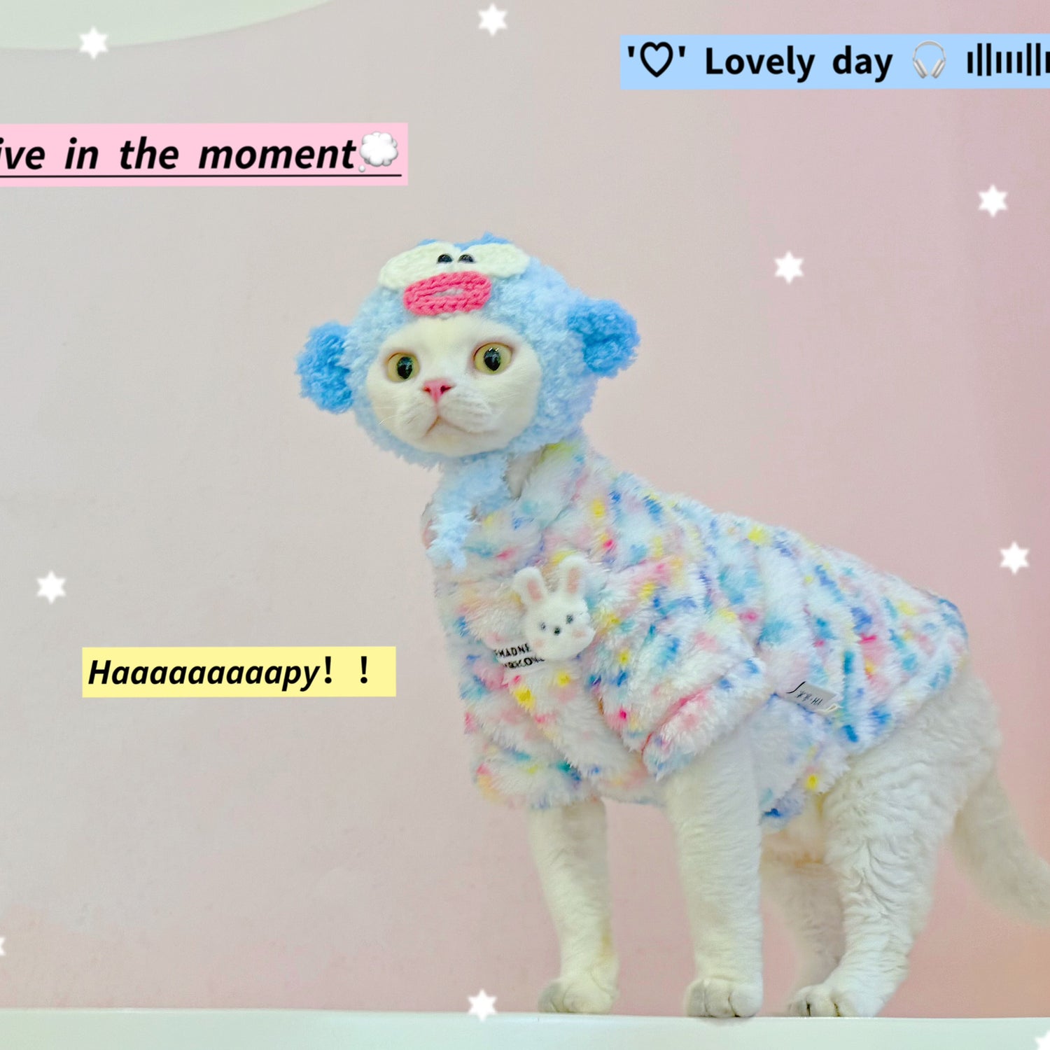 Rainbow Bunny Fleece Onesies SphynxCat DevonRex Clothes