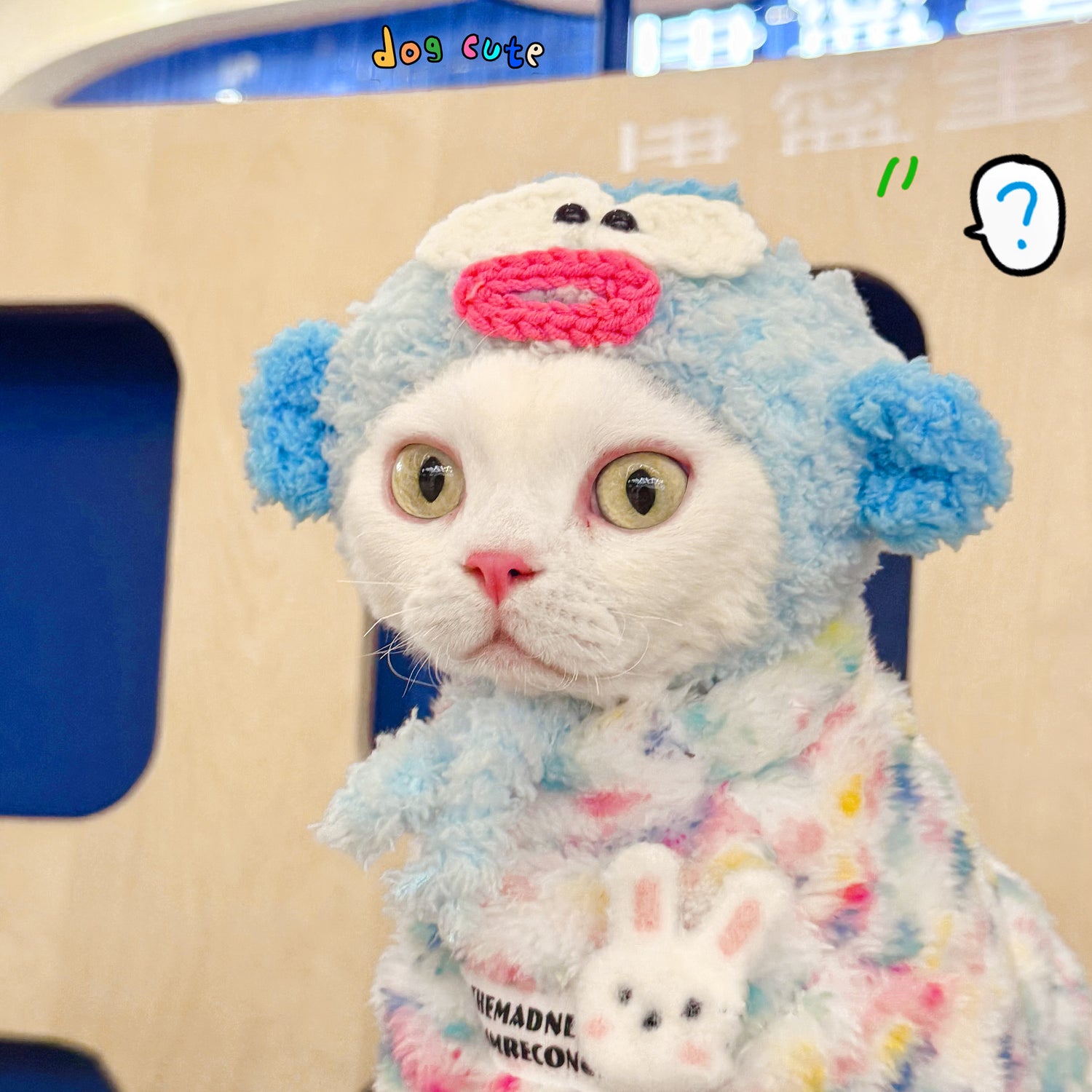 Rainbow Bunny Fleece Onesies SphynxCat DevonRex Clothes