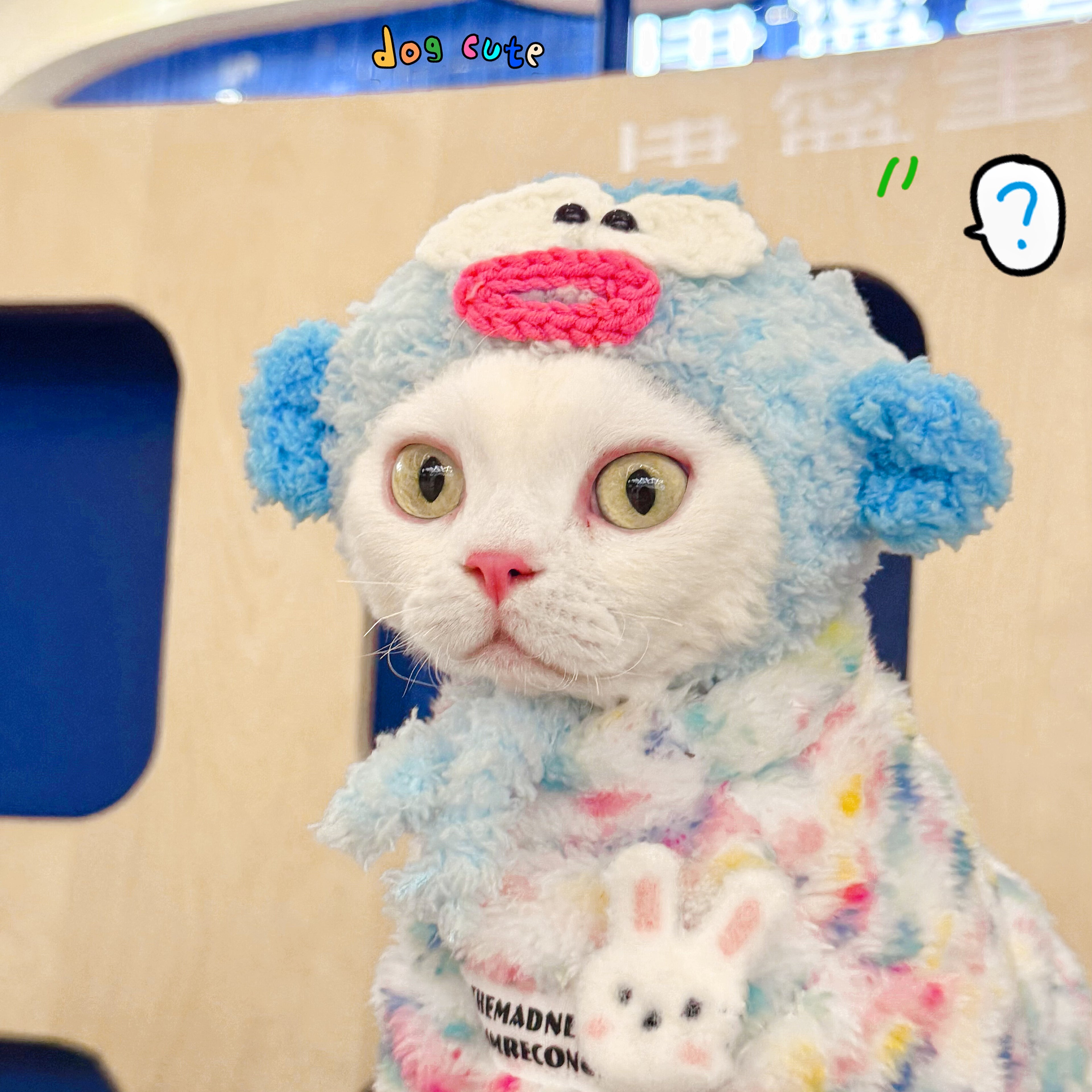 Rainbow Bunny Fleece Onesies SphynxCat DevonRex Clothes