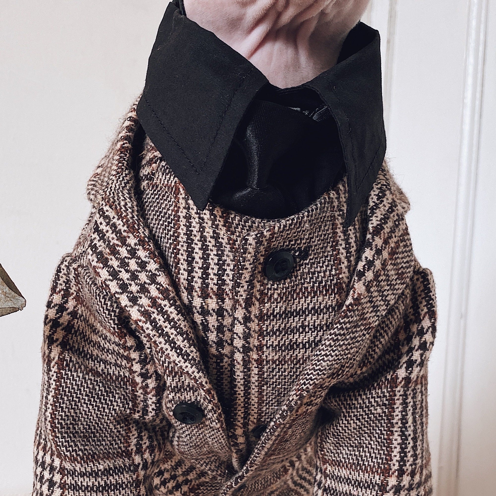 Sphynx Cat Tweed Suit – Three-Piece Formal Outfit
