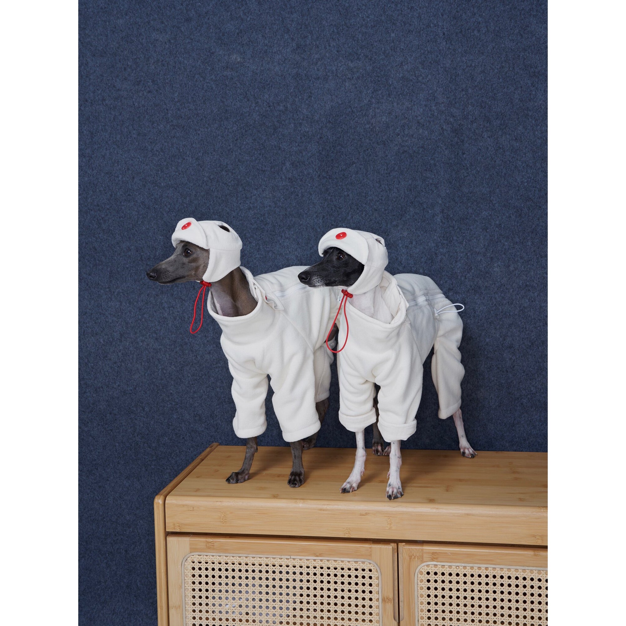 Whippet &amp; Greyhound Fleece Jumpsuit – Anti-Static Reversible Winter Onesie
