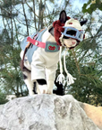 Cat Diving Mask Hat Handmade Ear-Out Design for Cats